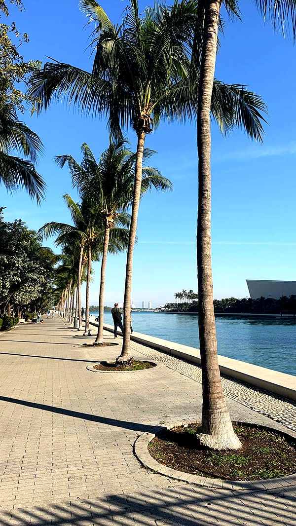 bellarenaldii image ~ Altpins