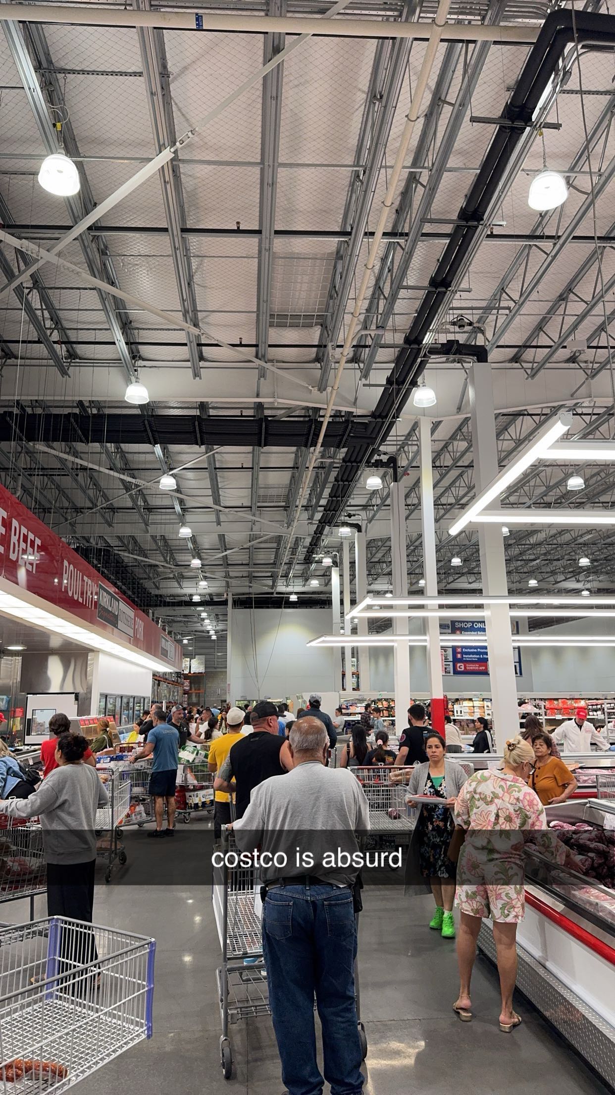 bellarenaldii snapchat image archive image