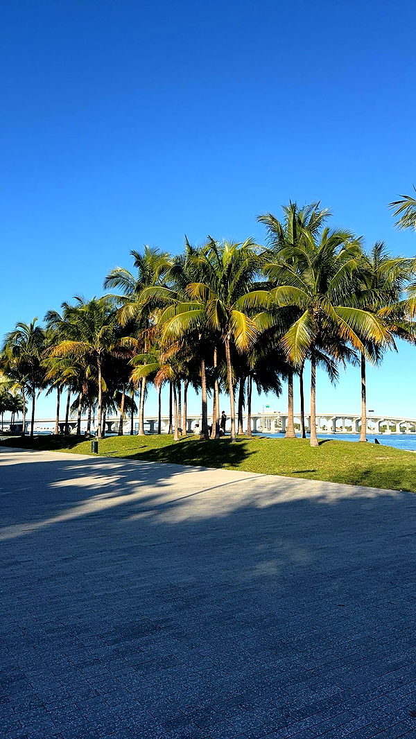 bellarenaldii image ~ Altpins