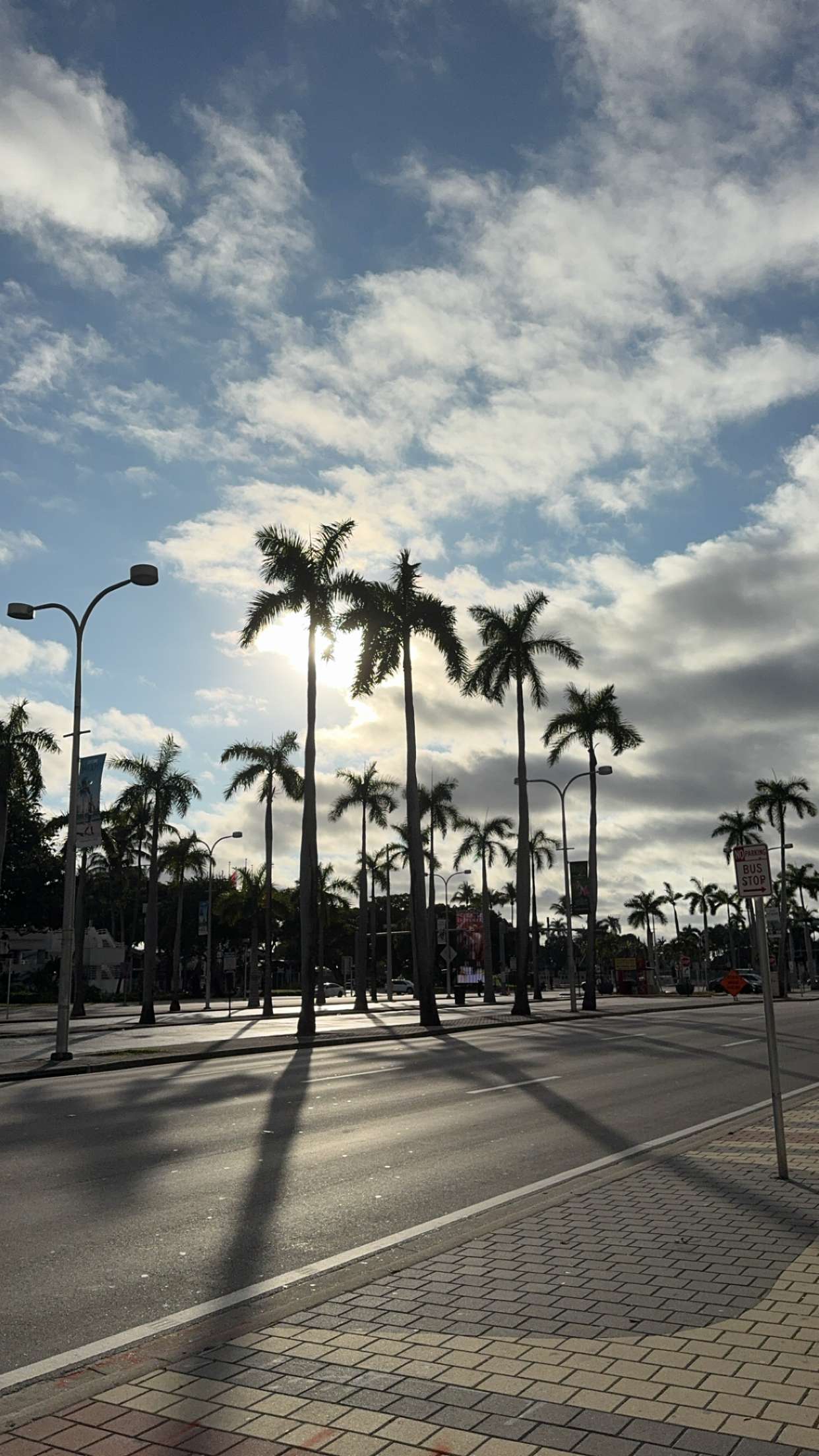 bellarenaldii snapchat image archive image