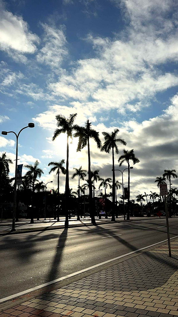 bellarenaldii image ~ Altpins