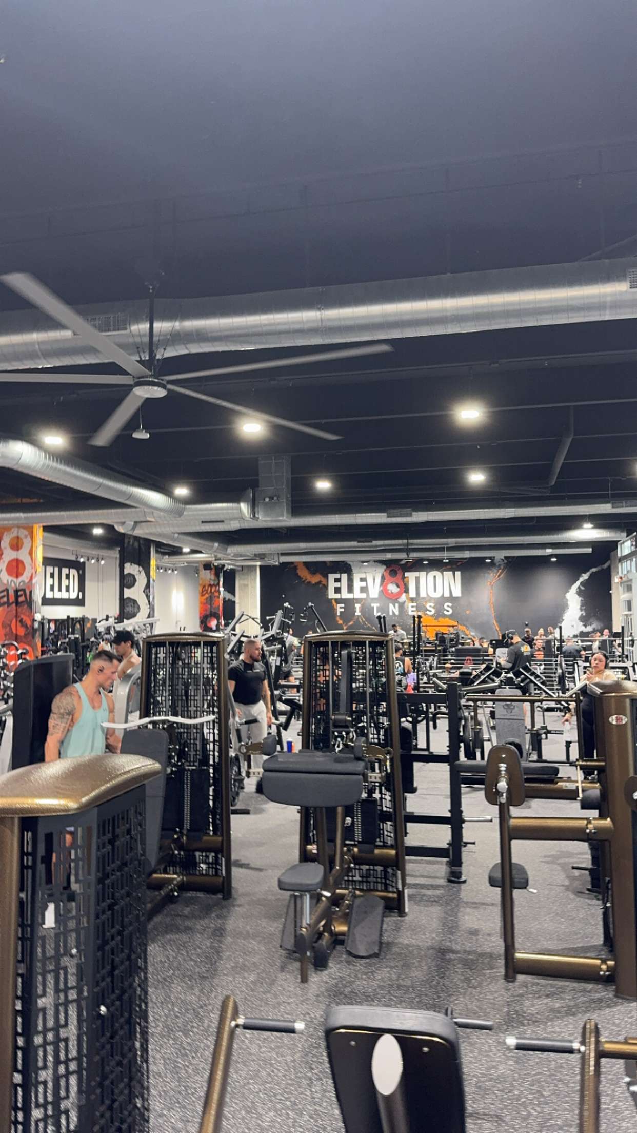 bellarenaldii snapchat image archive image