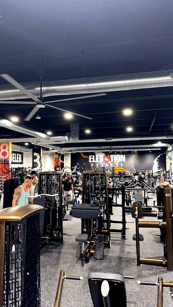 bellarenaldii image ~ Altpins