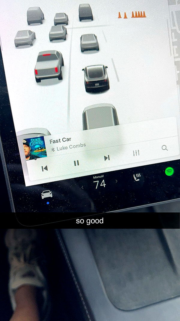 bellarenaldii image ~ Altpins