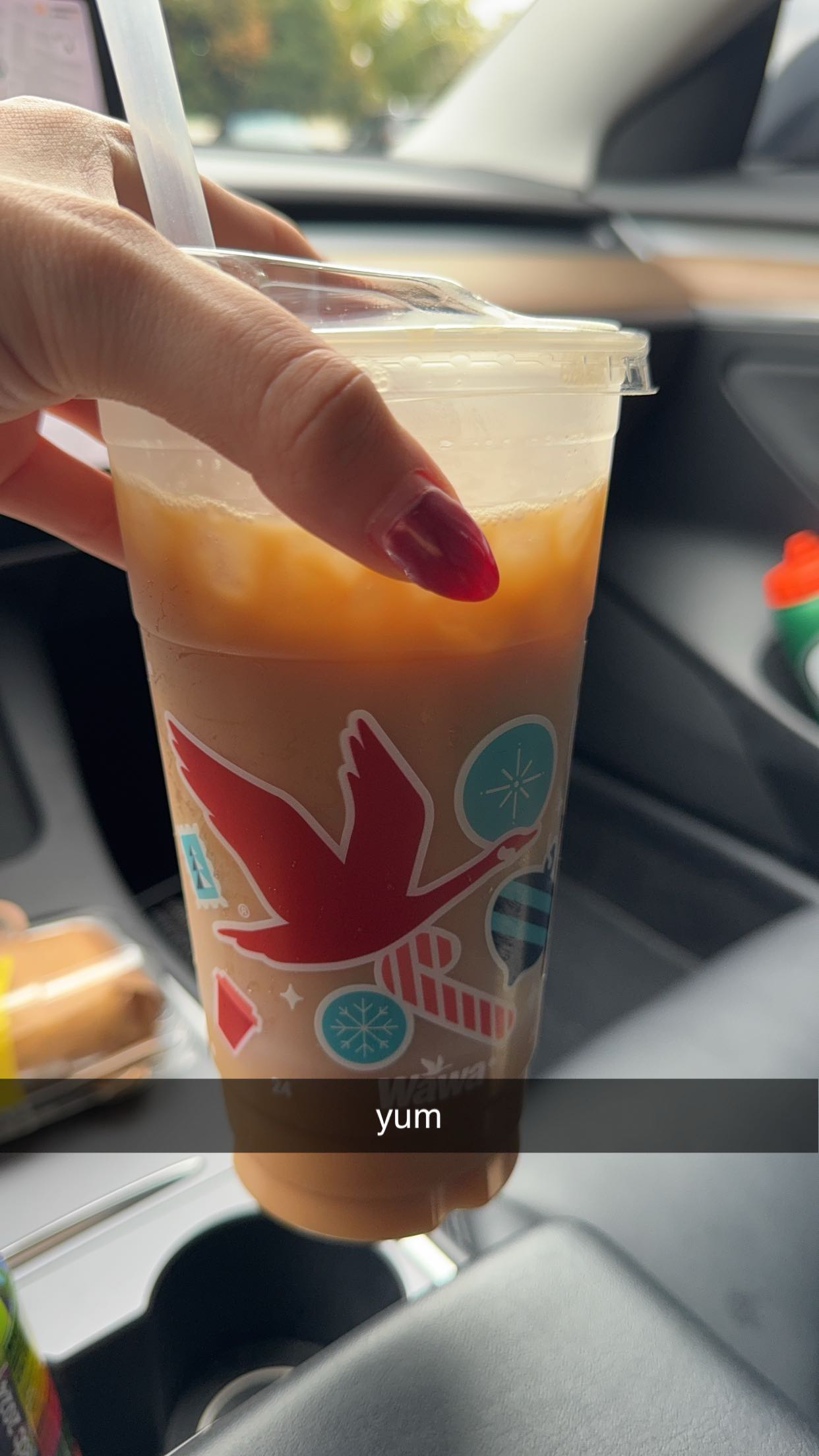 bellarenaldii snapchat image archive image