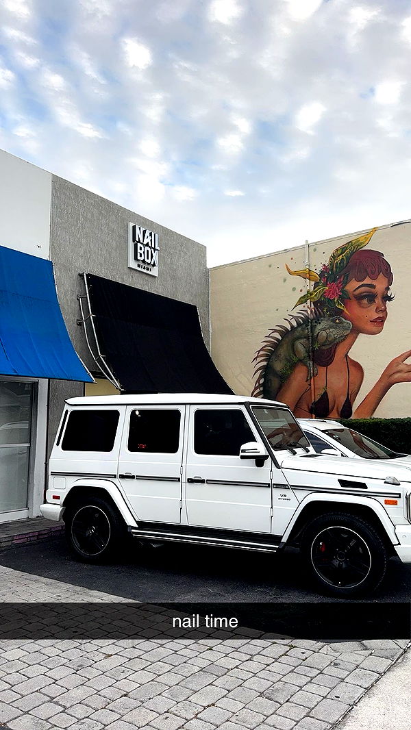 bellarenaldii image ~ Altpins