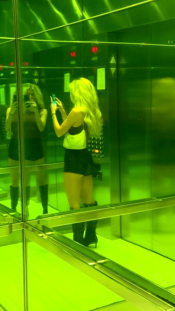 bellarenaldii image ~ Altpins