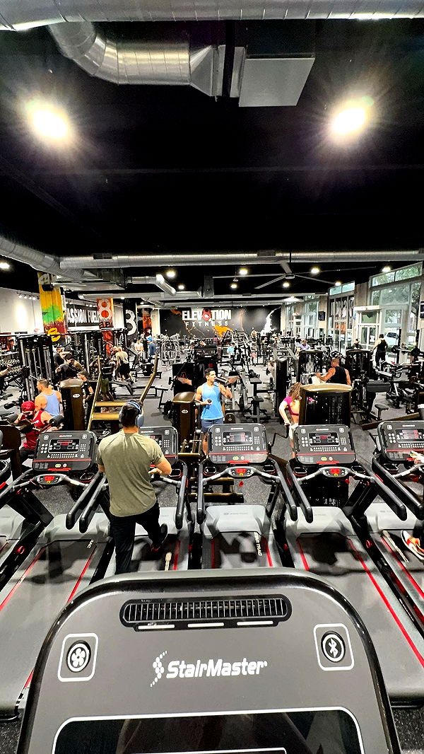 bellarenaldii image ~ Altpins