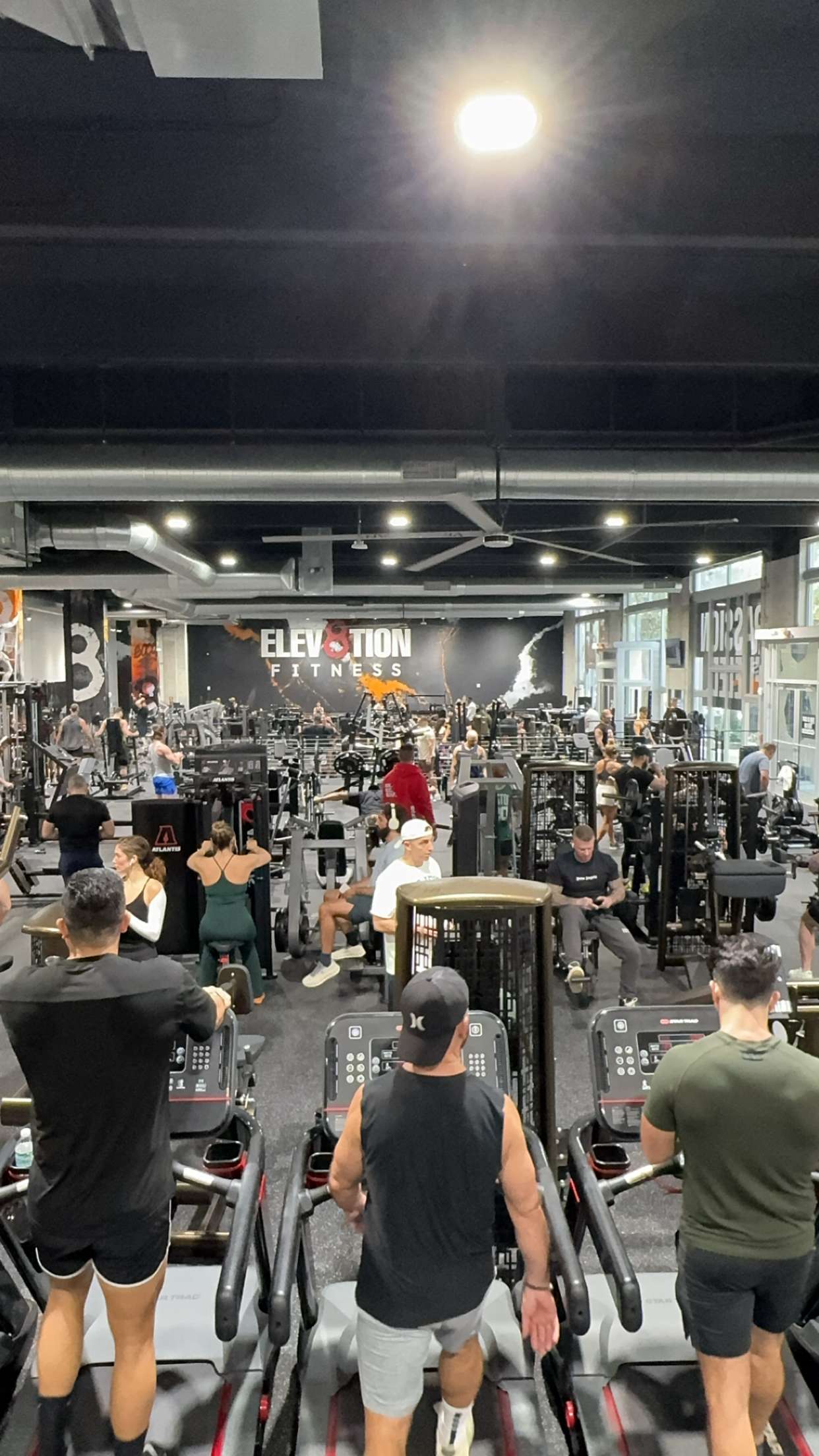 bellarenaldii snapchat image archive image