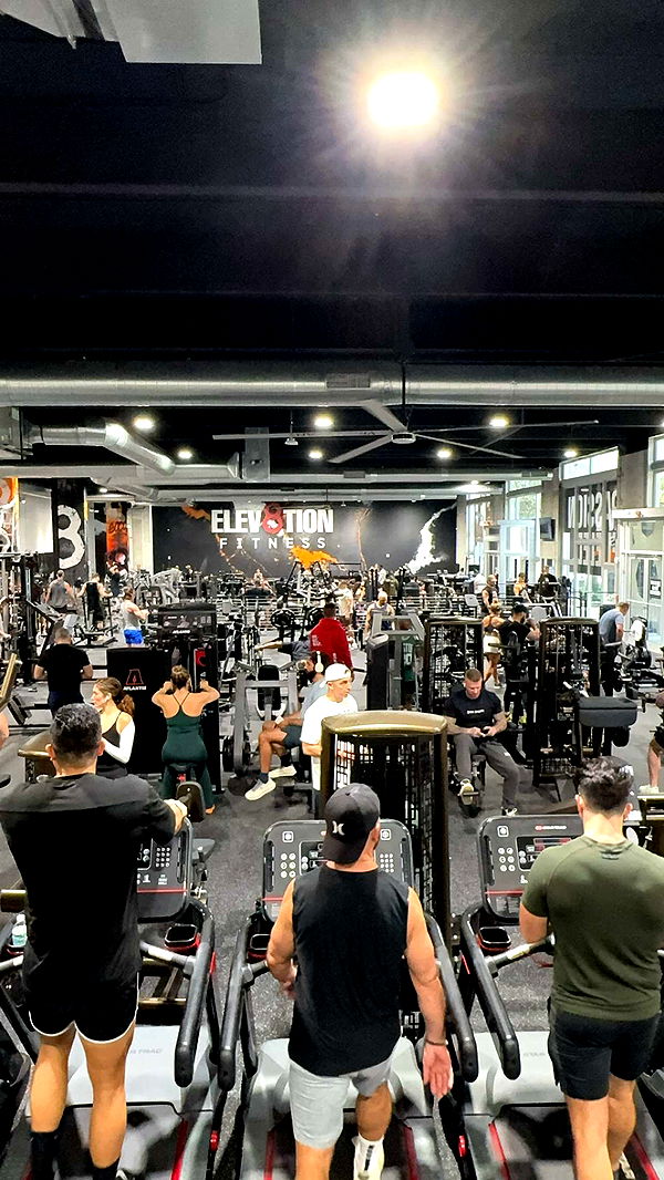 bellarenaldii image ~ Altpins