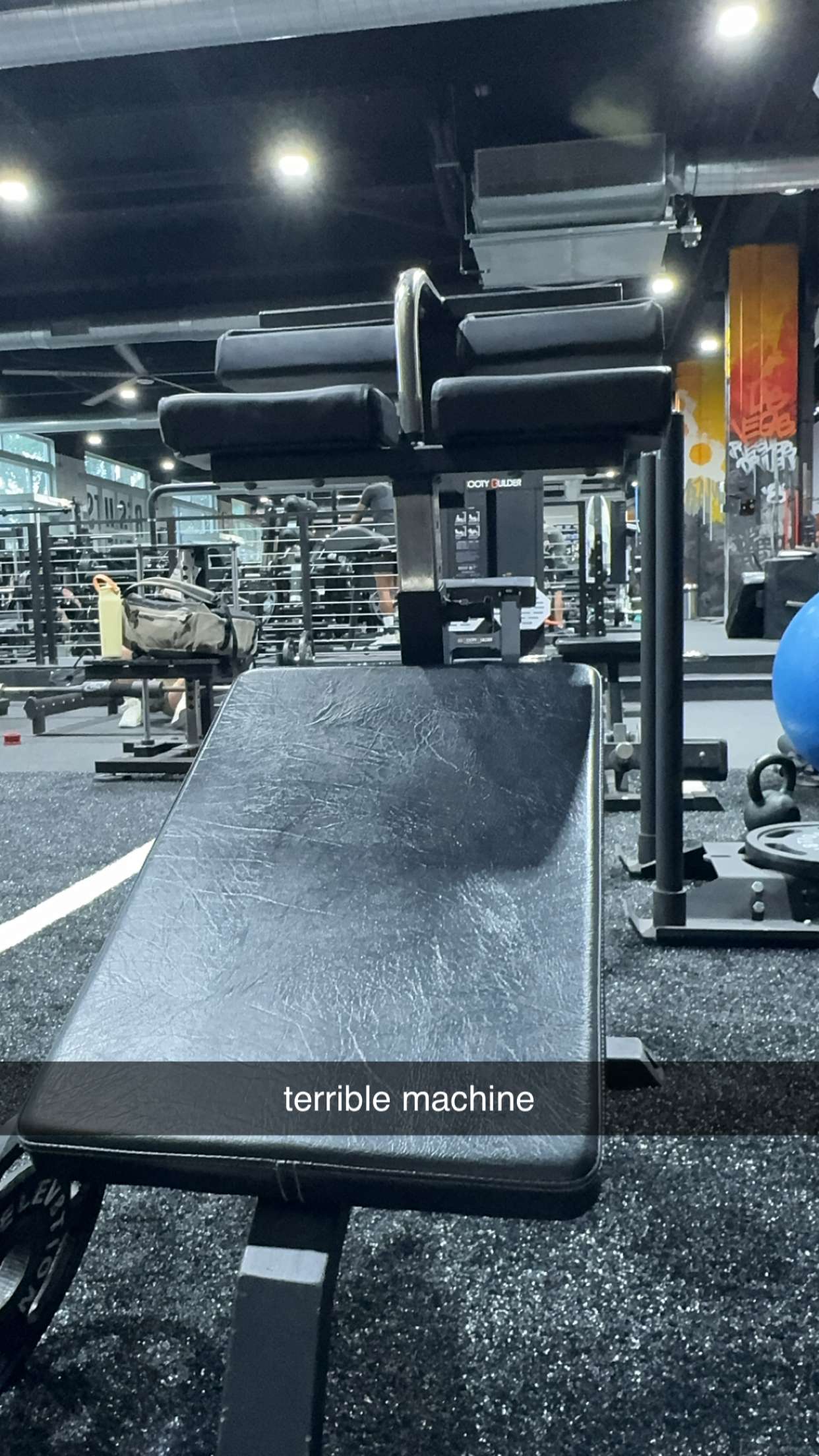 bellarenaldii snapchat image archive image