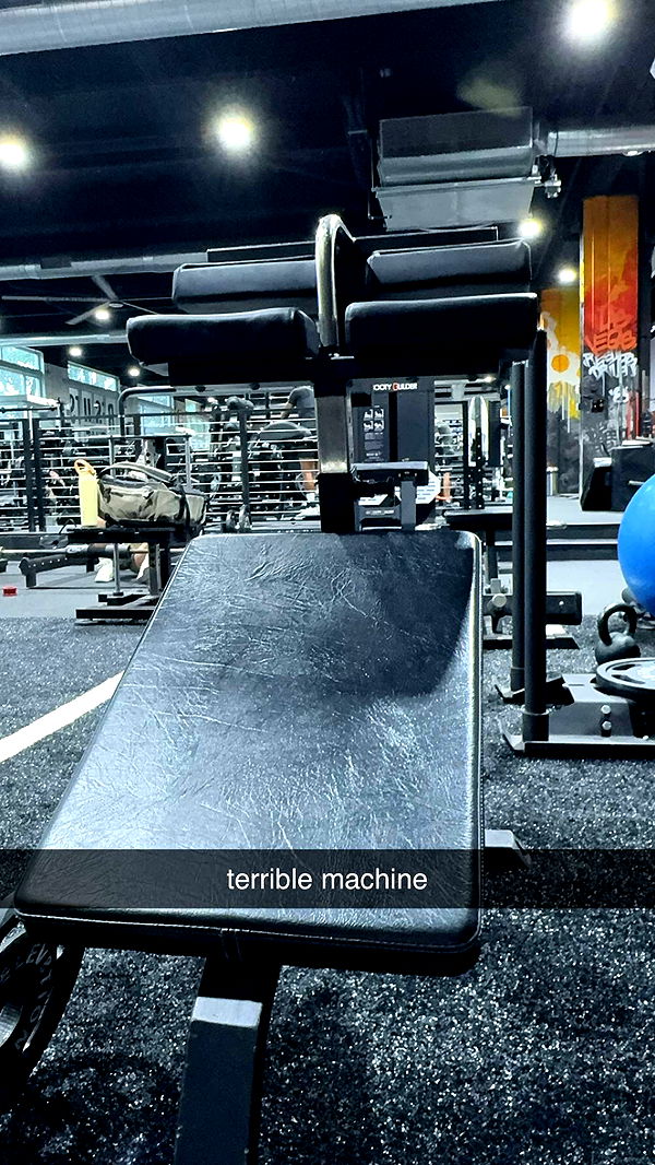 bellarenaldii image ~ Altpins