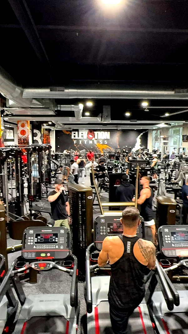 bellarenaldii image ~ Altpins