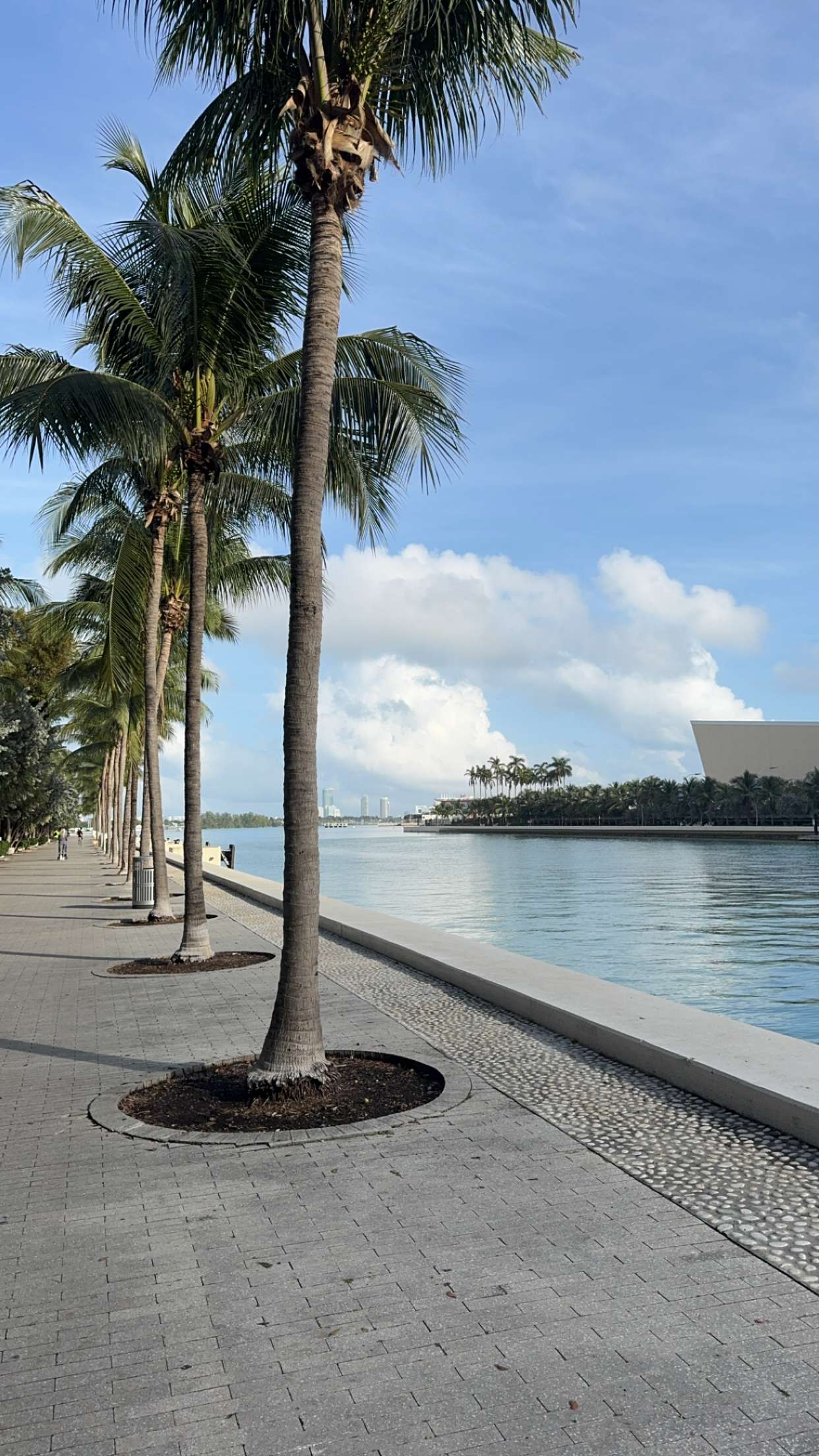 bellarenaldii snapchat image archive image