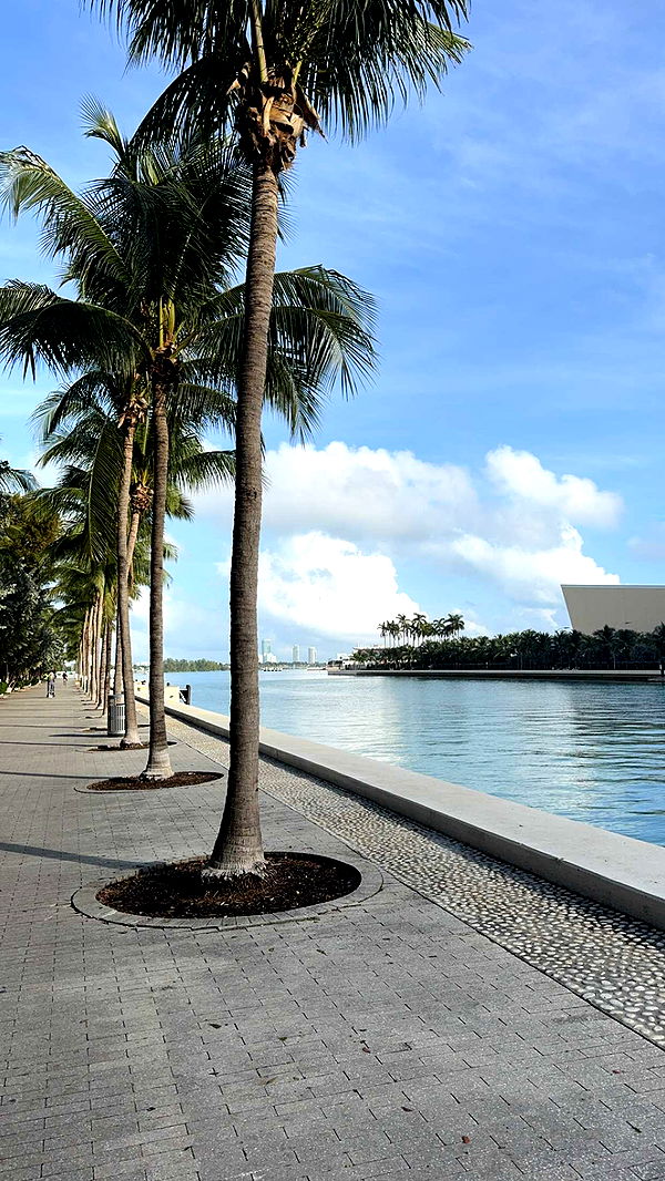 bellarenaldii image ~ Altpins