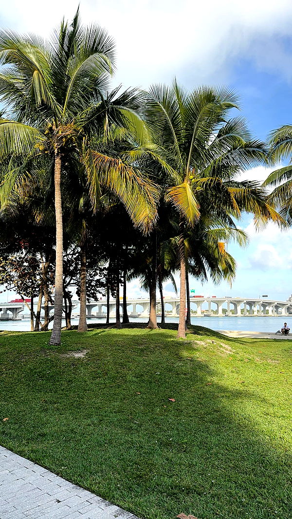 bellarenaldii image ~ Altpins