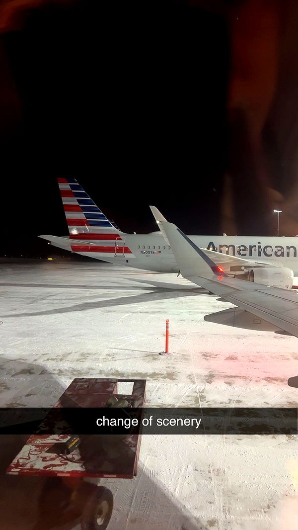 bellarenaldii image ~ Altpins