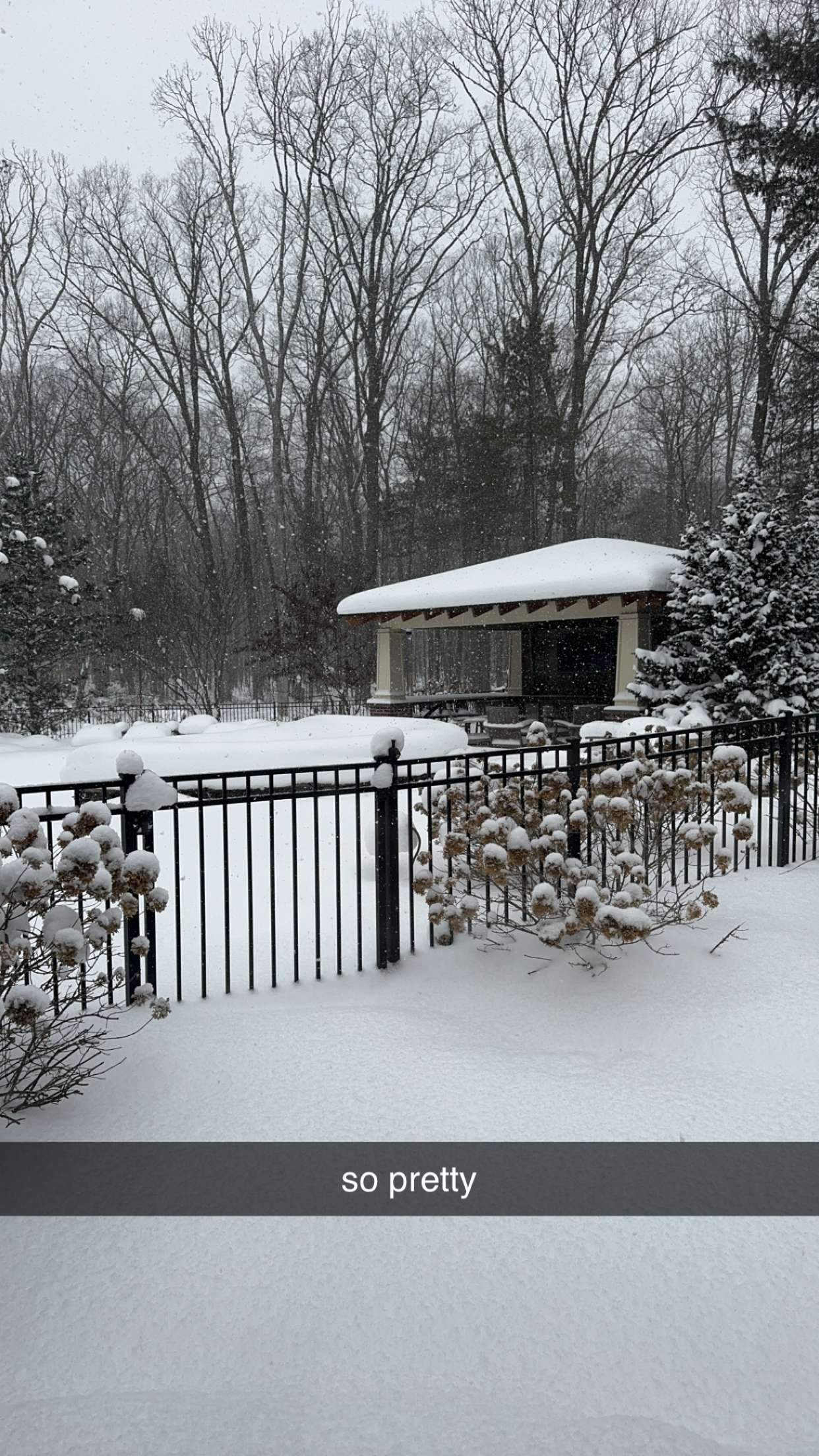 bellarenaldii snapchat image archive image