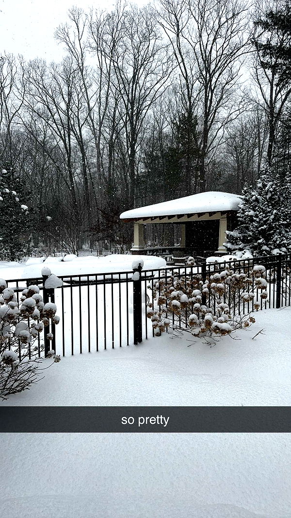 bellarenaldii image ~ Altpins