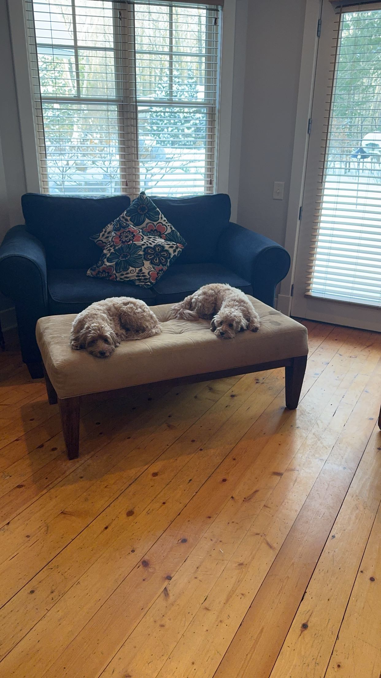 bellarenaldii snapchat image archive image