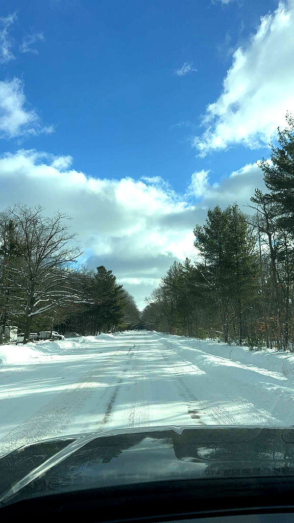 bellarenaldii image ~ Altpins