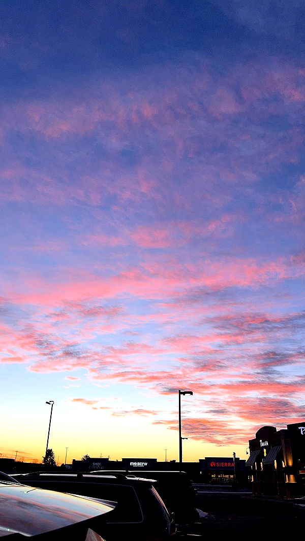 bellarenaldii image ~ Altpins