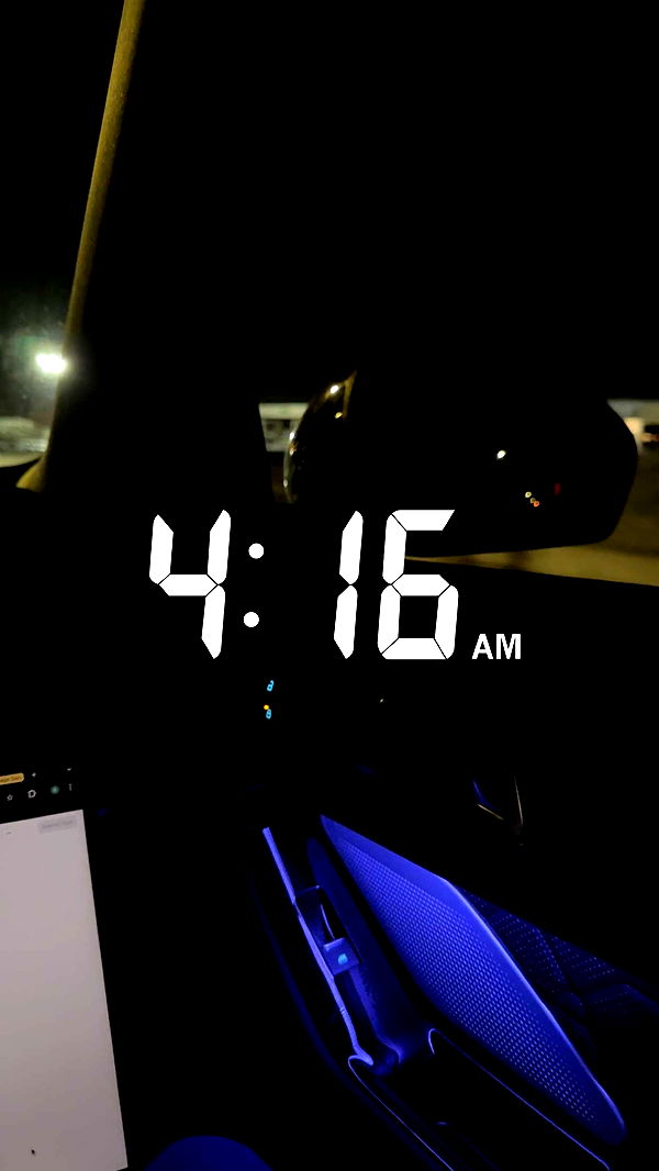 bellarenaldii image ~ Altpins