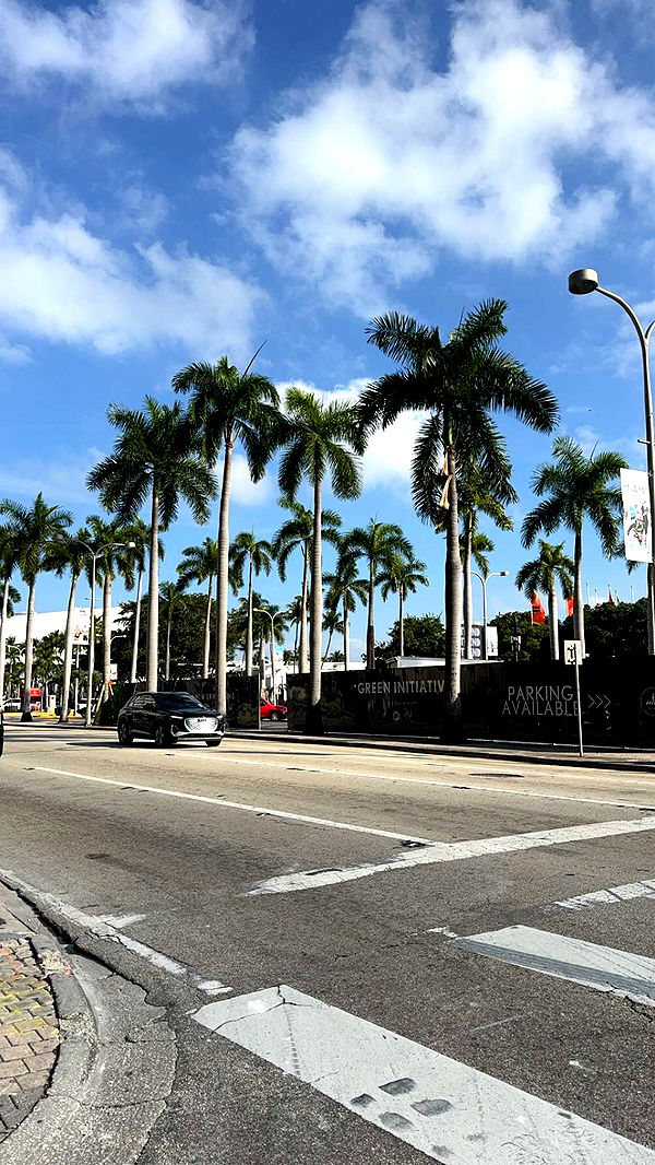 bellarenaldii image ~ Altpins