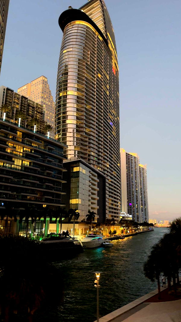 bellarenaldii image ~ Altpins