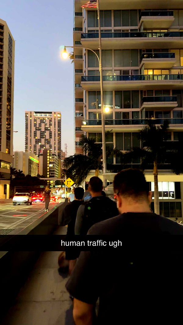 bellarenaldii image ~ Altpins