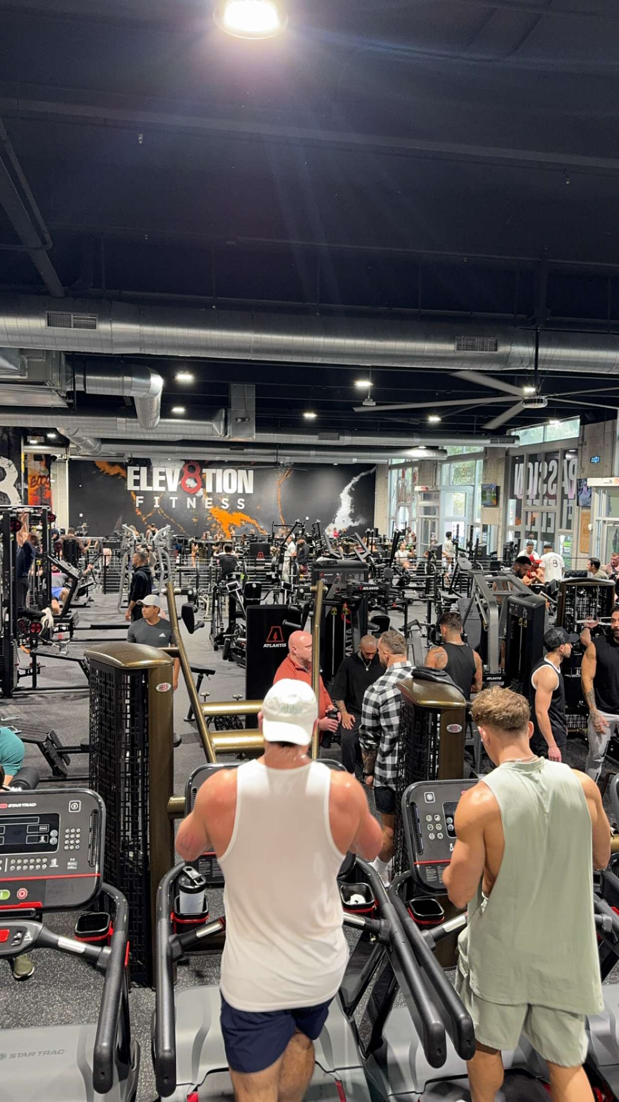 bellarenaldii snapchat image archive image