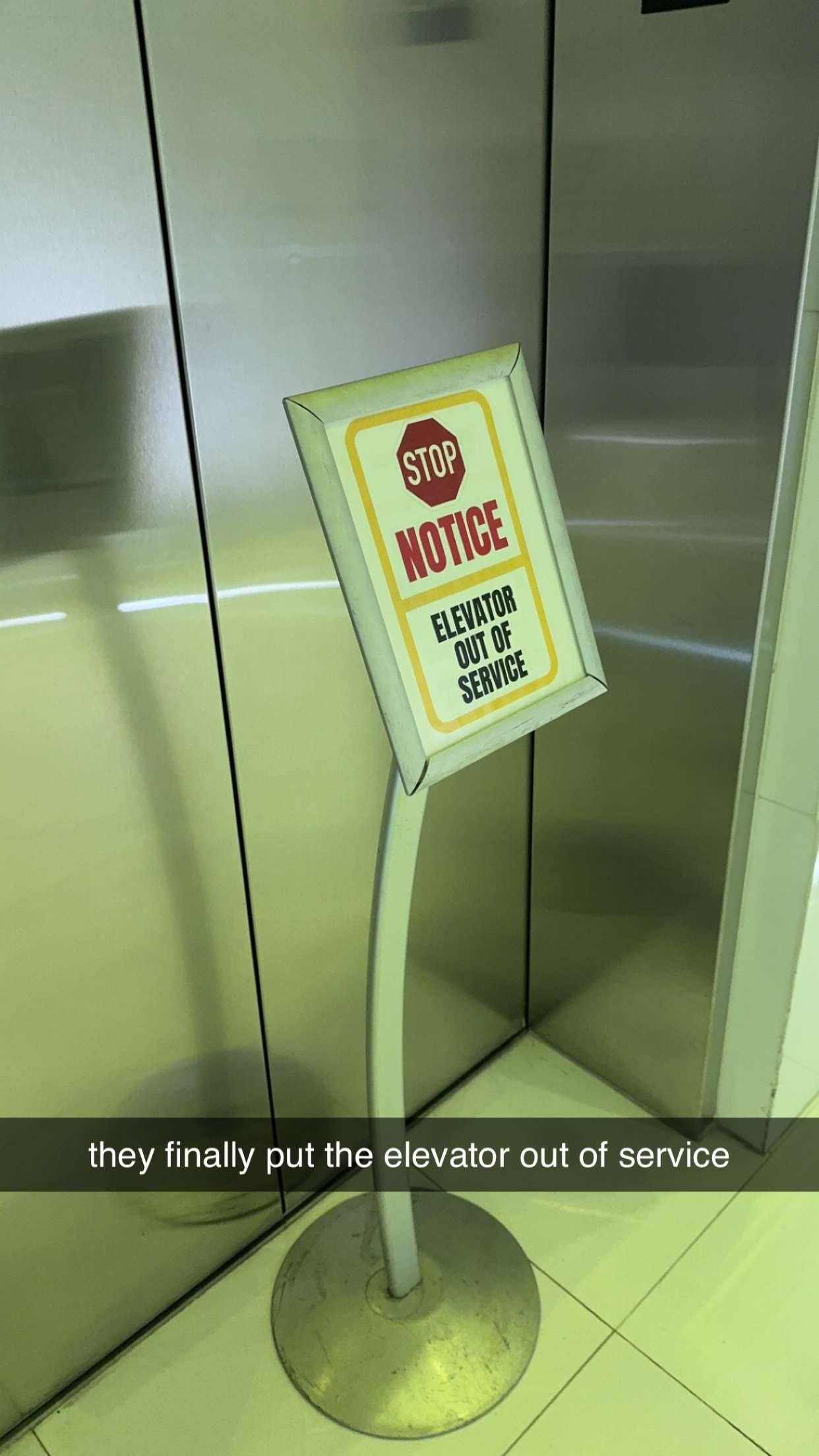 bellarenaldii snapchat image archive image