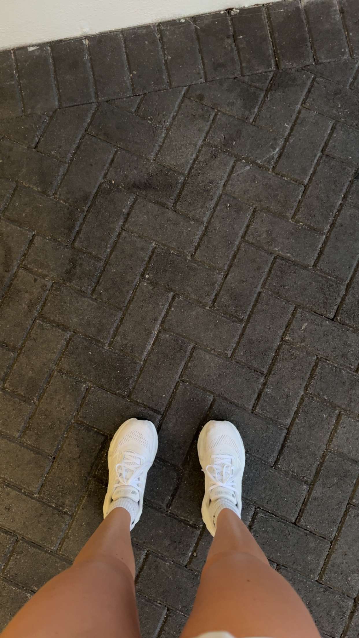 bellarenaldii snapchat image archive image