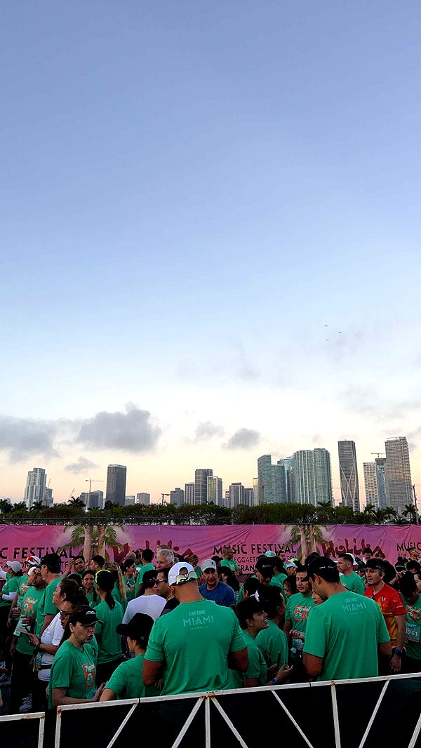 bellarenaldii image ~ Altpins