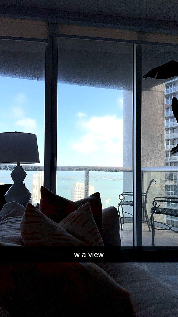 bellarenaldii image ~ Altpins