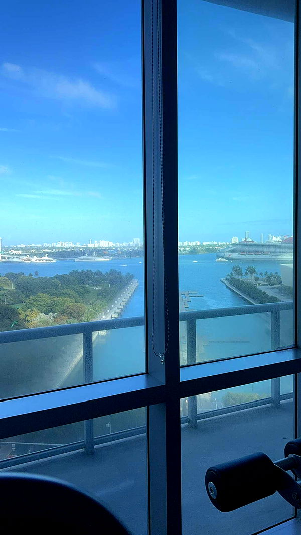 bellarenaldii image ~ Altpins