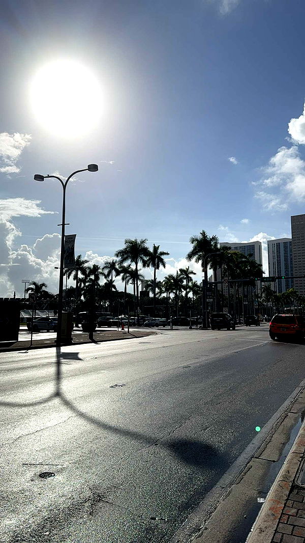 bellarenaldii image ~ Altpins