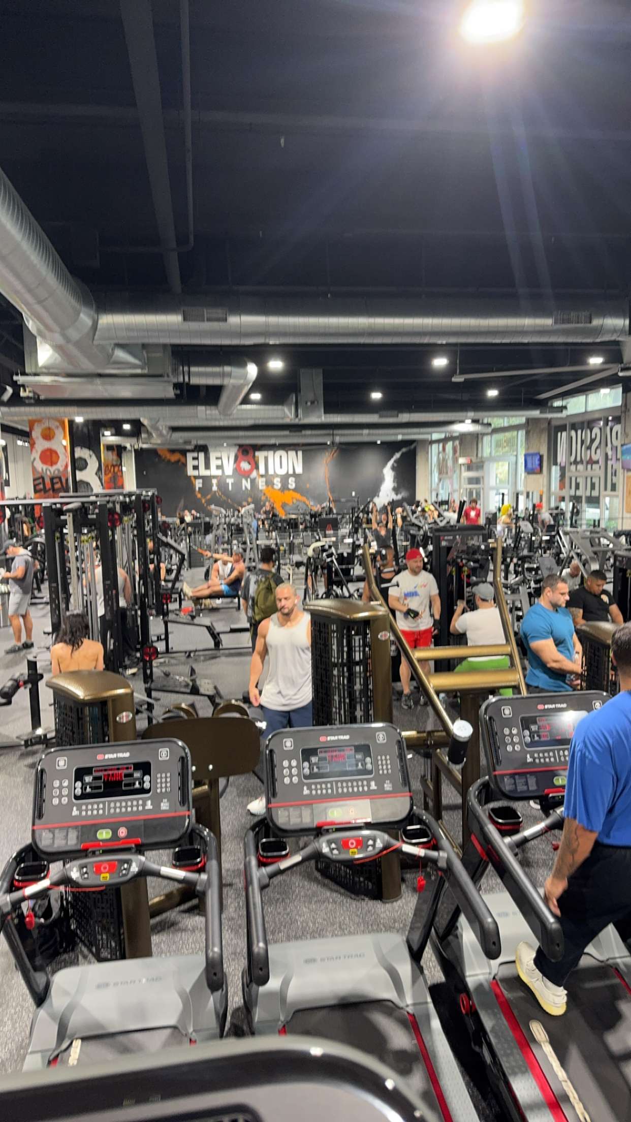 bellarenaldii snapchat image archive image