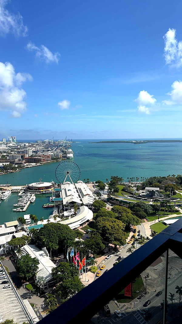 bellarenaldii image ~ Altpins