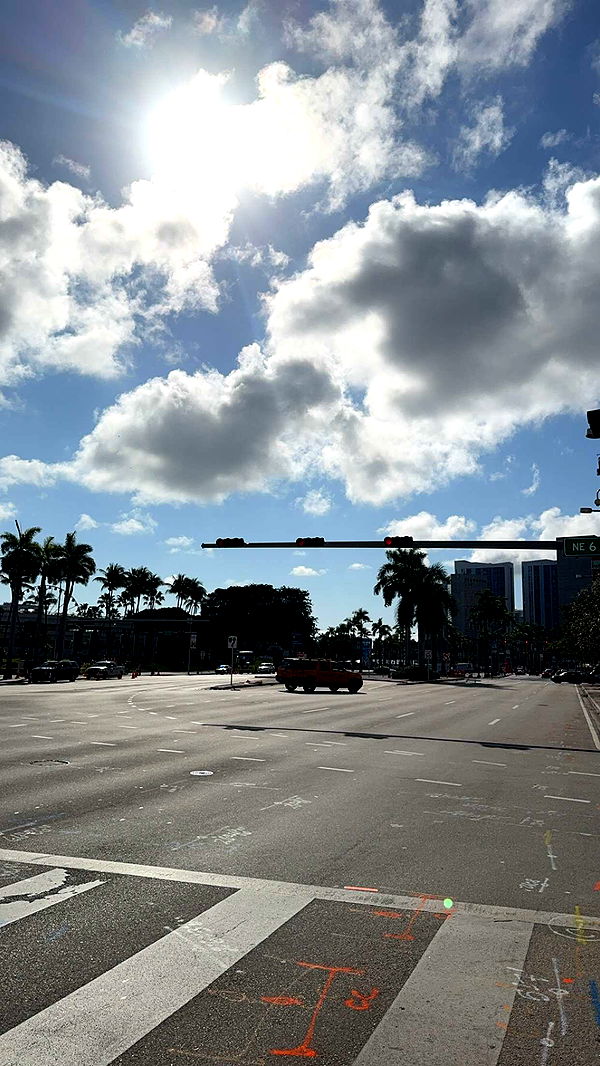 bellarenaldii image ~ Altpins