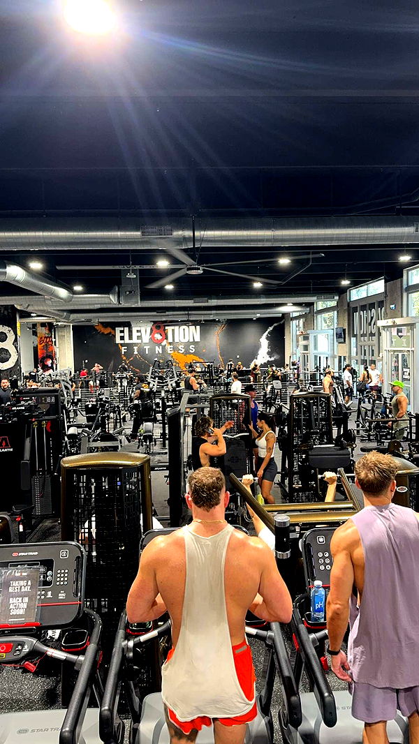 bellarenaldii image ~ Altpins