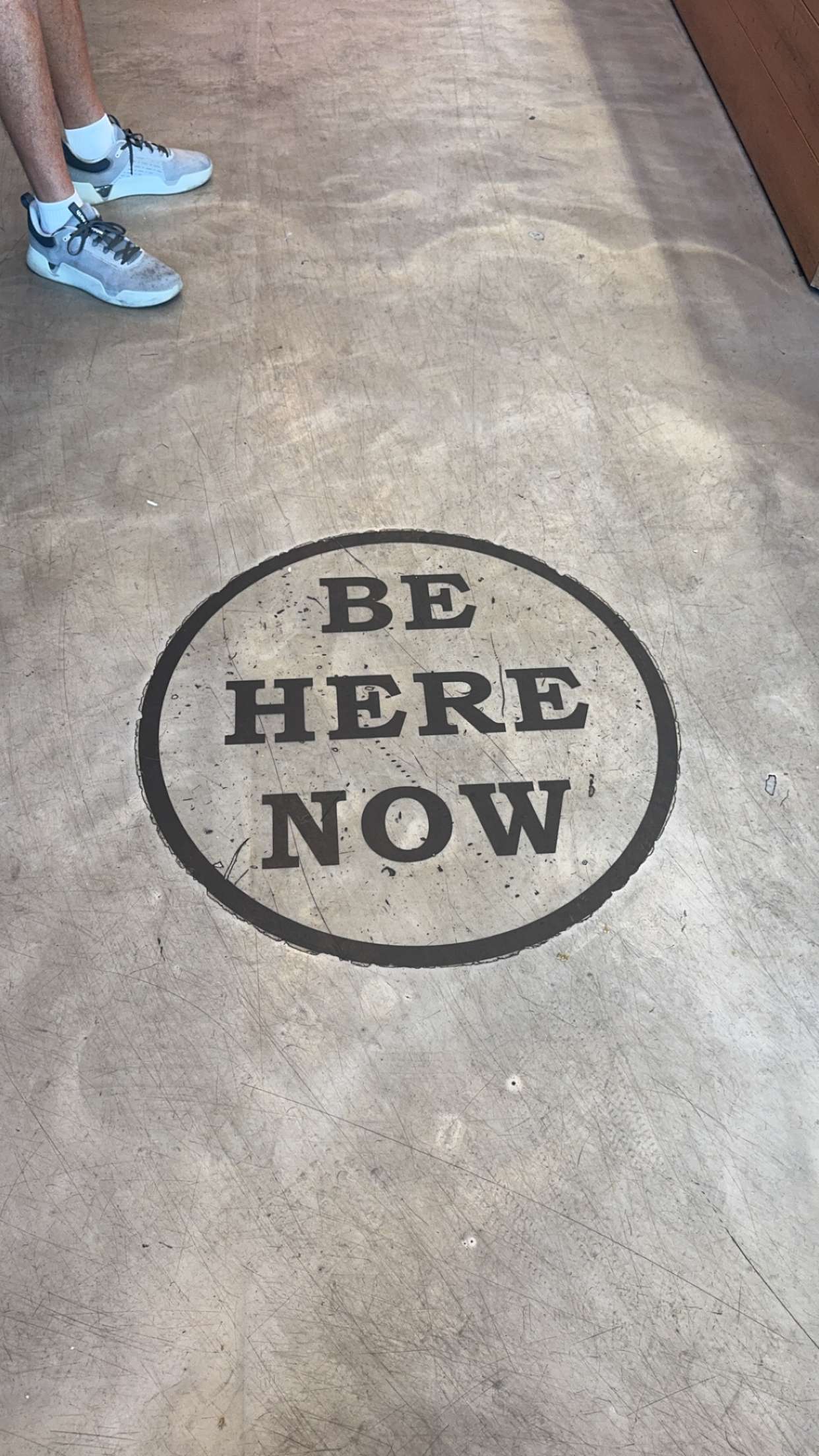 bellarenaldii snapchat image archive image