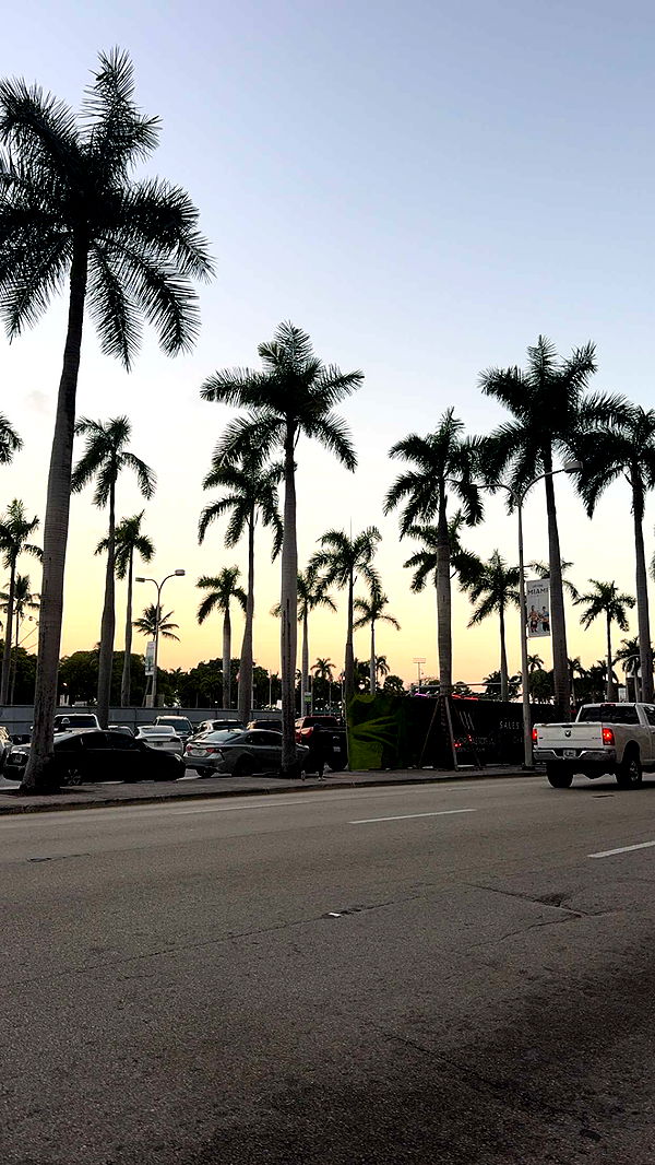 bellarenaldii image ~ Altpins