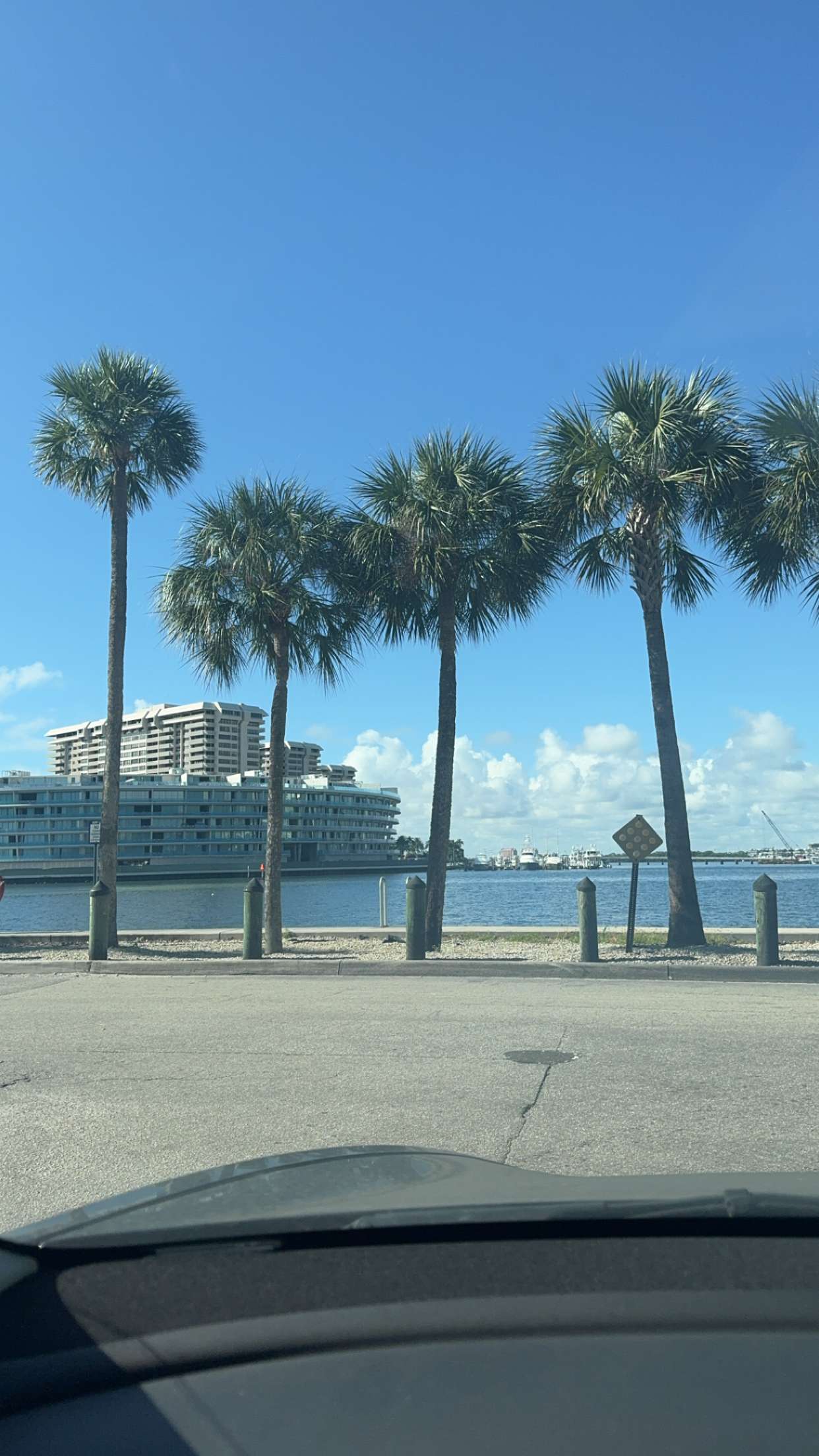 bellarenaldii snapchat image archive image