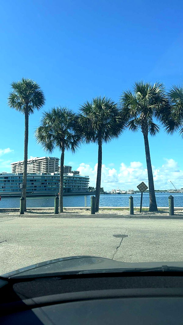 bellarenaldii image ~ Altpins