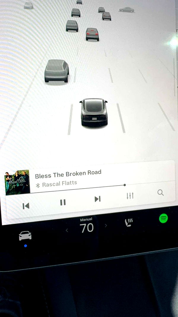 bellarenaldii image ~ Altpins