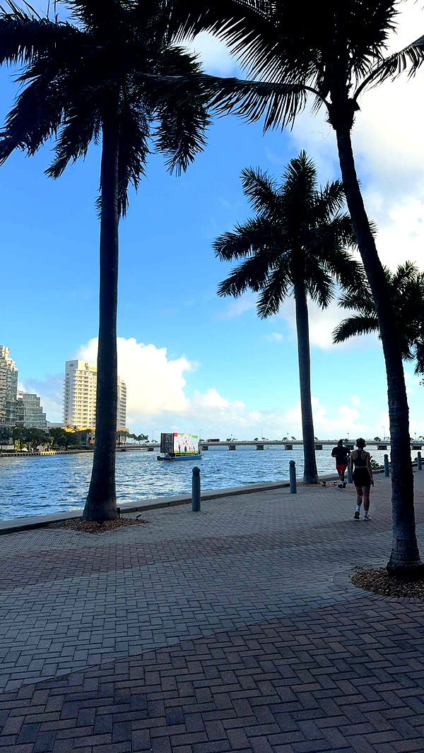 bellarenaldii image ~ Altpins