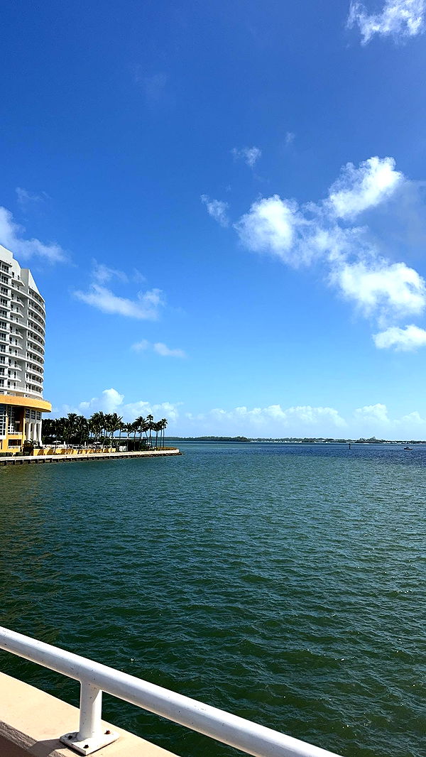 bellarenaldii image ~ Altpins