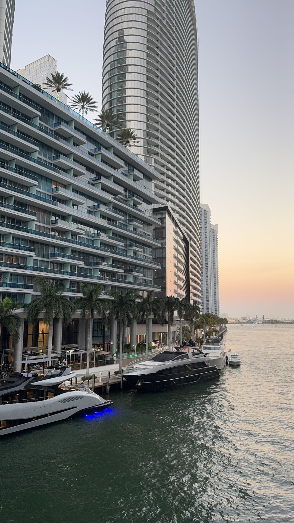 bellarenaldii snapchat image archive image