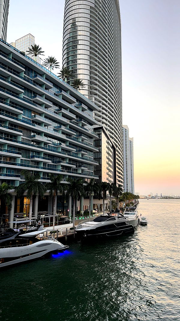 bellarenaldii image ~ Altpins